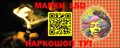 spice Обнинск