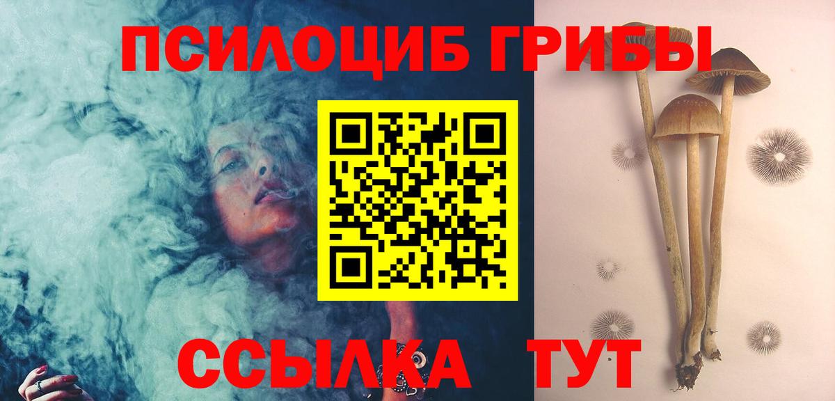 Псилоцибиновые грибы ЛСД Советская Гавань